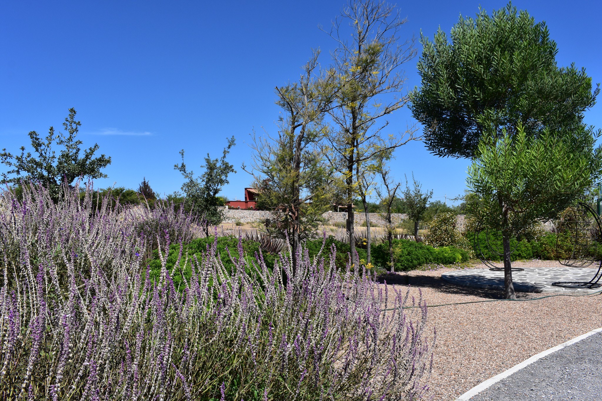 TERRENO EN VENTA en Fraccionamiento MÍtico, SAN MIGUEL DE ALLENDE - Image 6