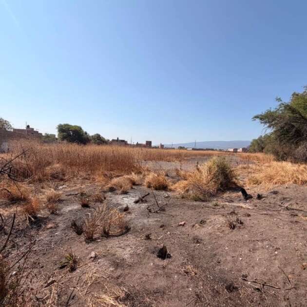TERRENO | Colonia Las Arboledas, Celaya Gto